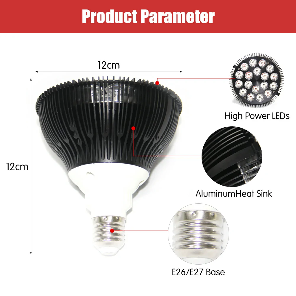 TL054 Bulb2 TL054 Bulb2